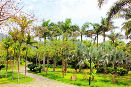 奶茶店员日常工作，奶茶店员常用语言有哪些