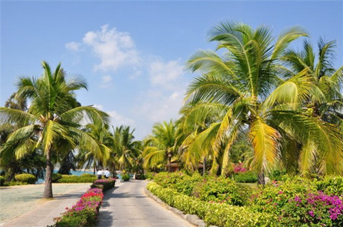 忻城县吊带裤品牌连锁店哪家好