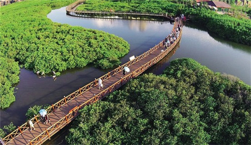 58奶茶加盟费多少钱一个月，58奶茶加盟费多少