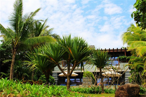 炒好的肉可以给猫吃吗（煮熟的猪肉能给猫吃嘛）