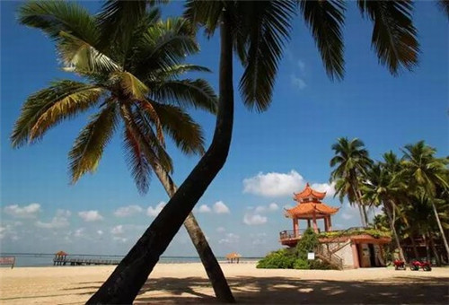 蓝天下的公司取名（蓝天下的公司取名怎么取）