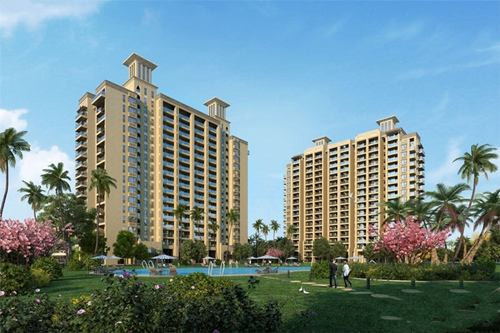 西胡炒豆腐怎样炒好吃（西胡炒豆腐怎样炒好吃视频）