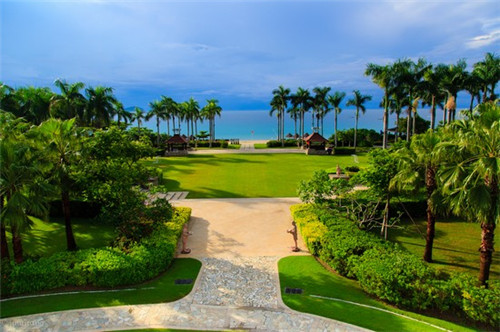 黑米粥营养价值及功效（黑米的粥功效与作用）