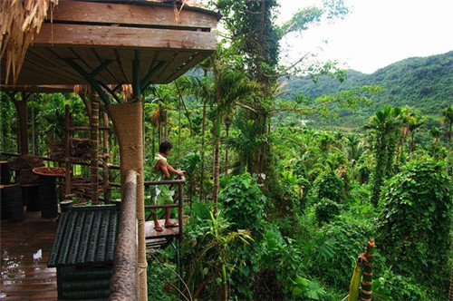 比比在八字是什么意思（网络上说比比是什么意思）